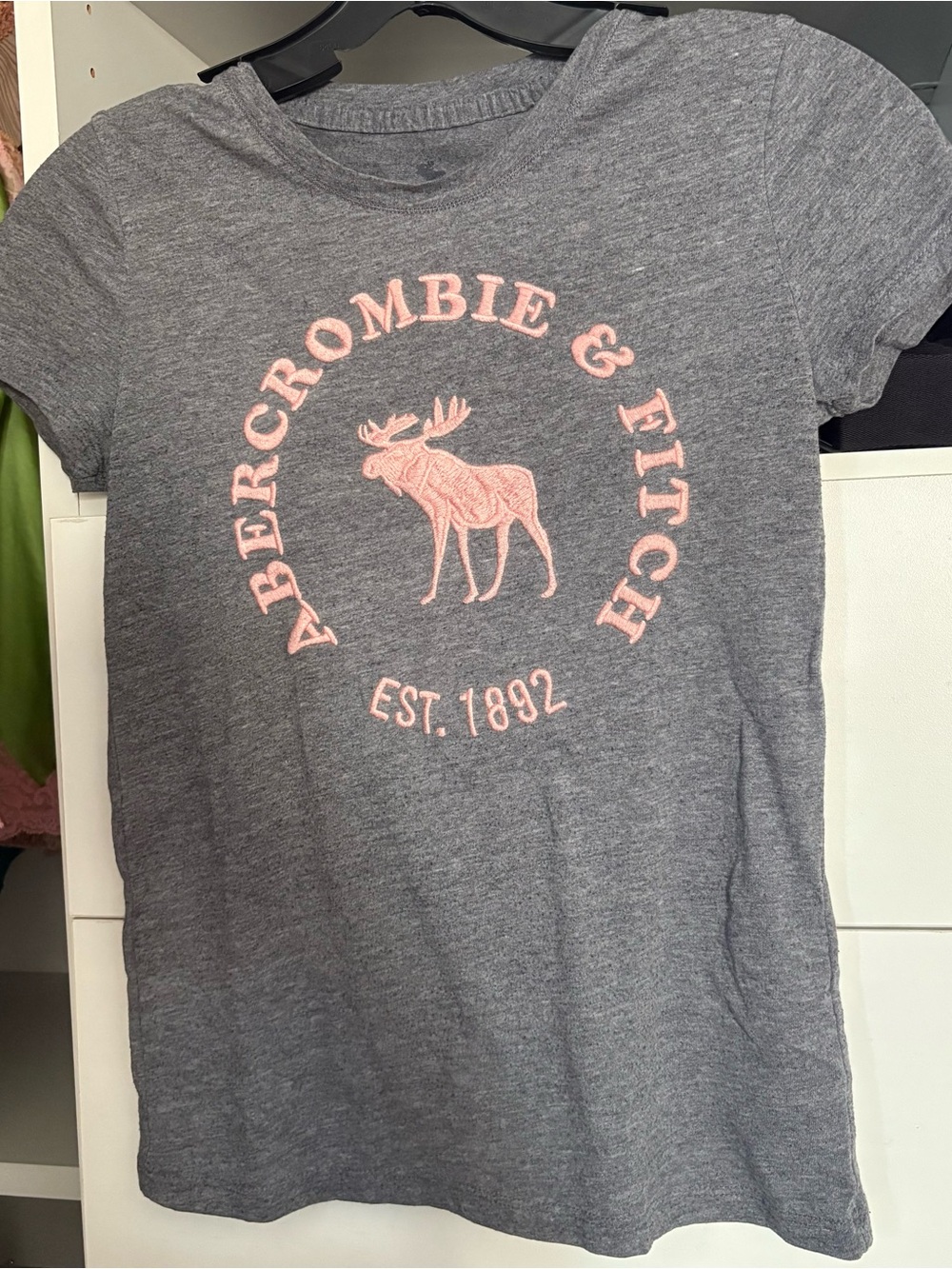 Abercrombie & Fitch Kids' Gray Tee with Pink Logo